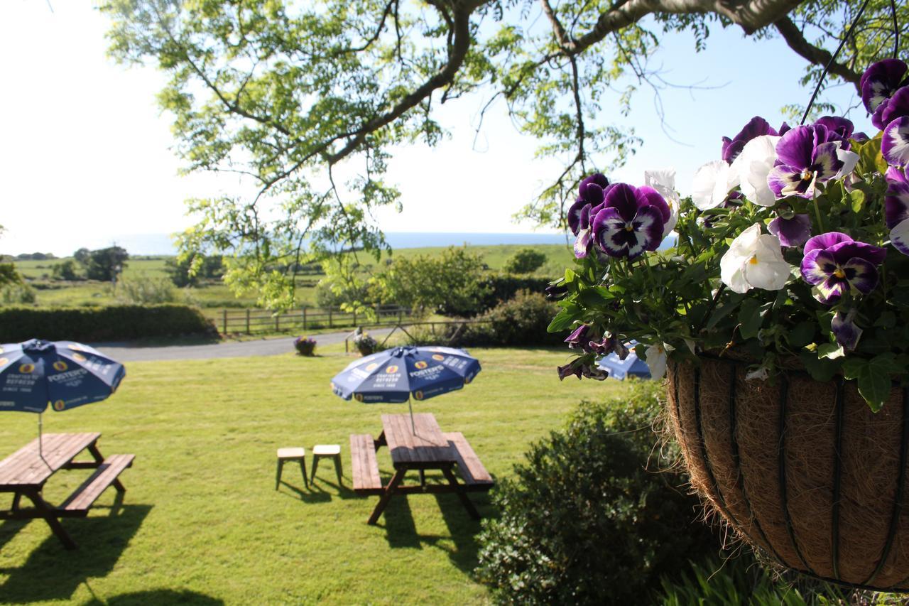 Bryn Eisteddfod B&B Clynnog-fawr Zewnętrze zdjęcie