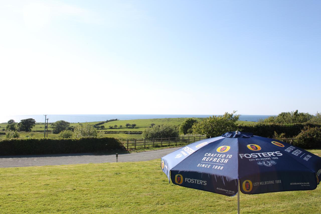 Bryn Eisteddfod B&B Clynnog-fawr Zewnętrze zdjęcie