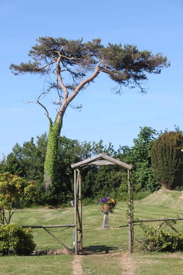 Bryn Eisteddfod B&B Clynnog-fawr Zewnętrze zdjęcie