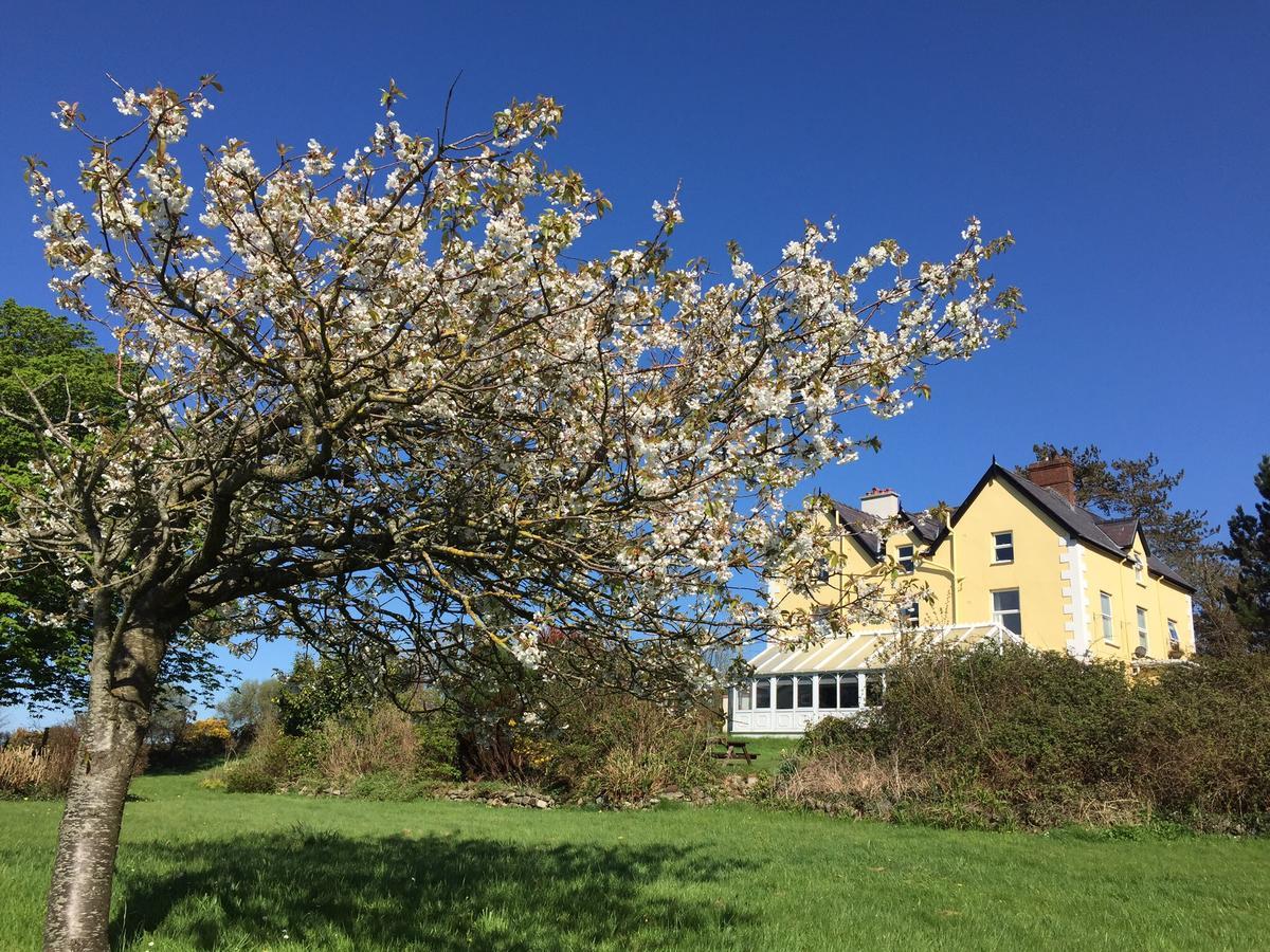 Bryn Eisteddfod B&B Clynnog-fawr Zewnętrze zdjęcie