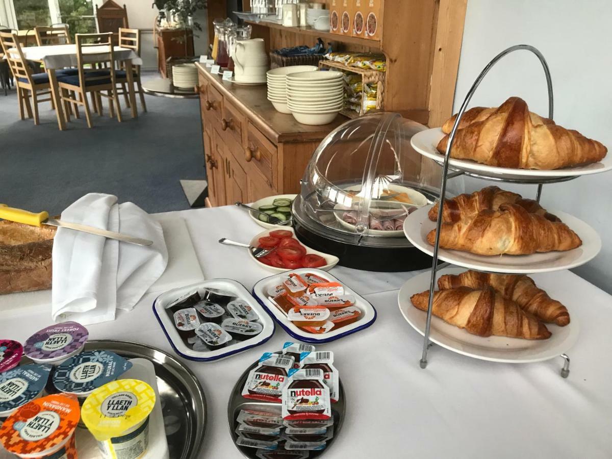 Bryn Eisteddfod B&B Clynnog-fawr Zewnętrze zdjęcie
