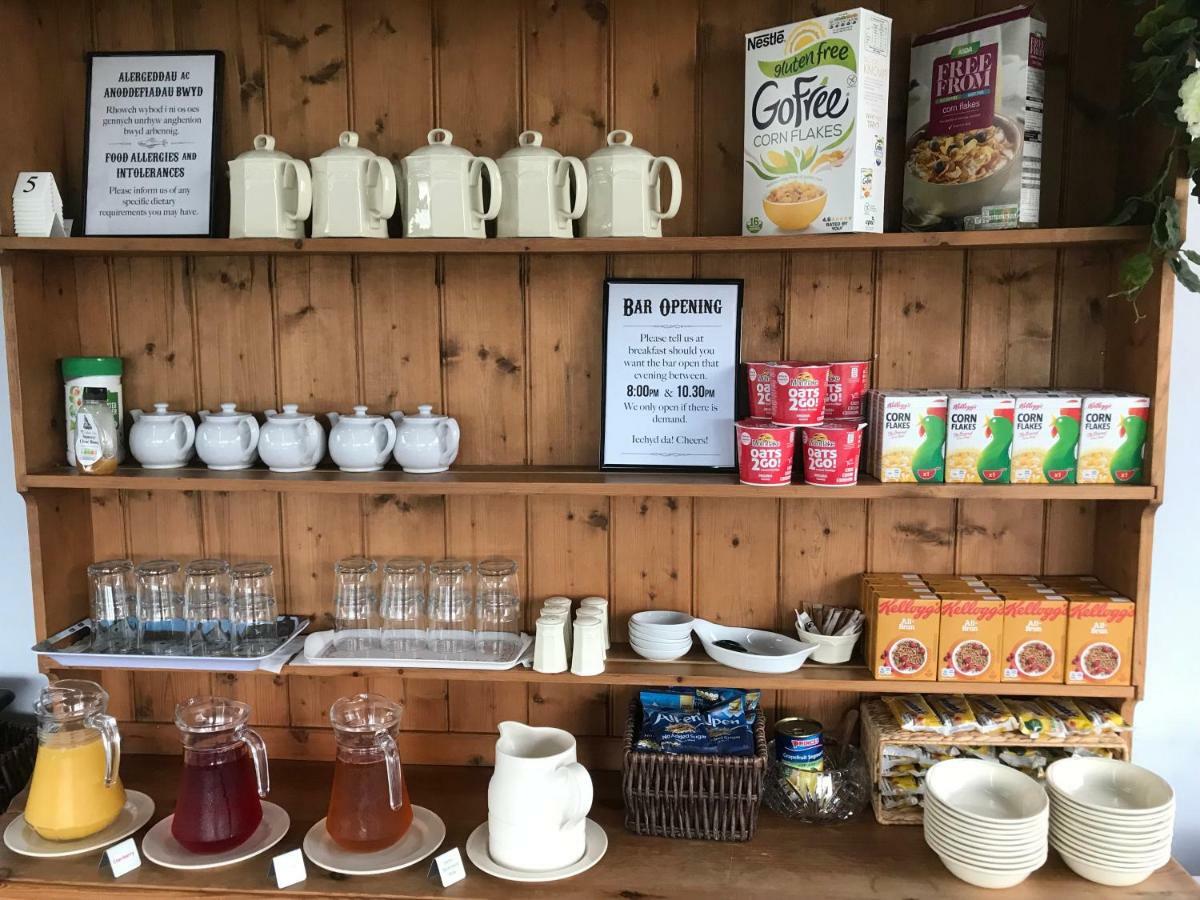 Bryn Eisteddfod B&B Clynnog-fawr Zewnętrze zdjęcie